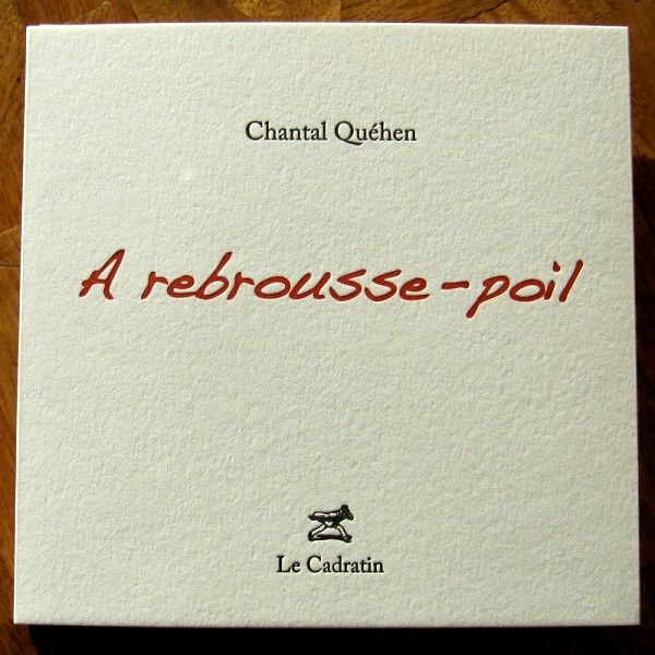 À rebrousse-poil - Chantal Quéhen